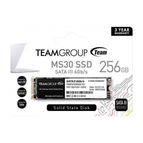 TEAM GROUP SSD MS30 M.2 256GB