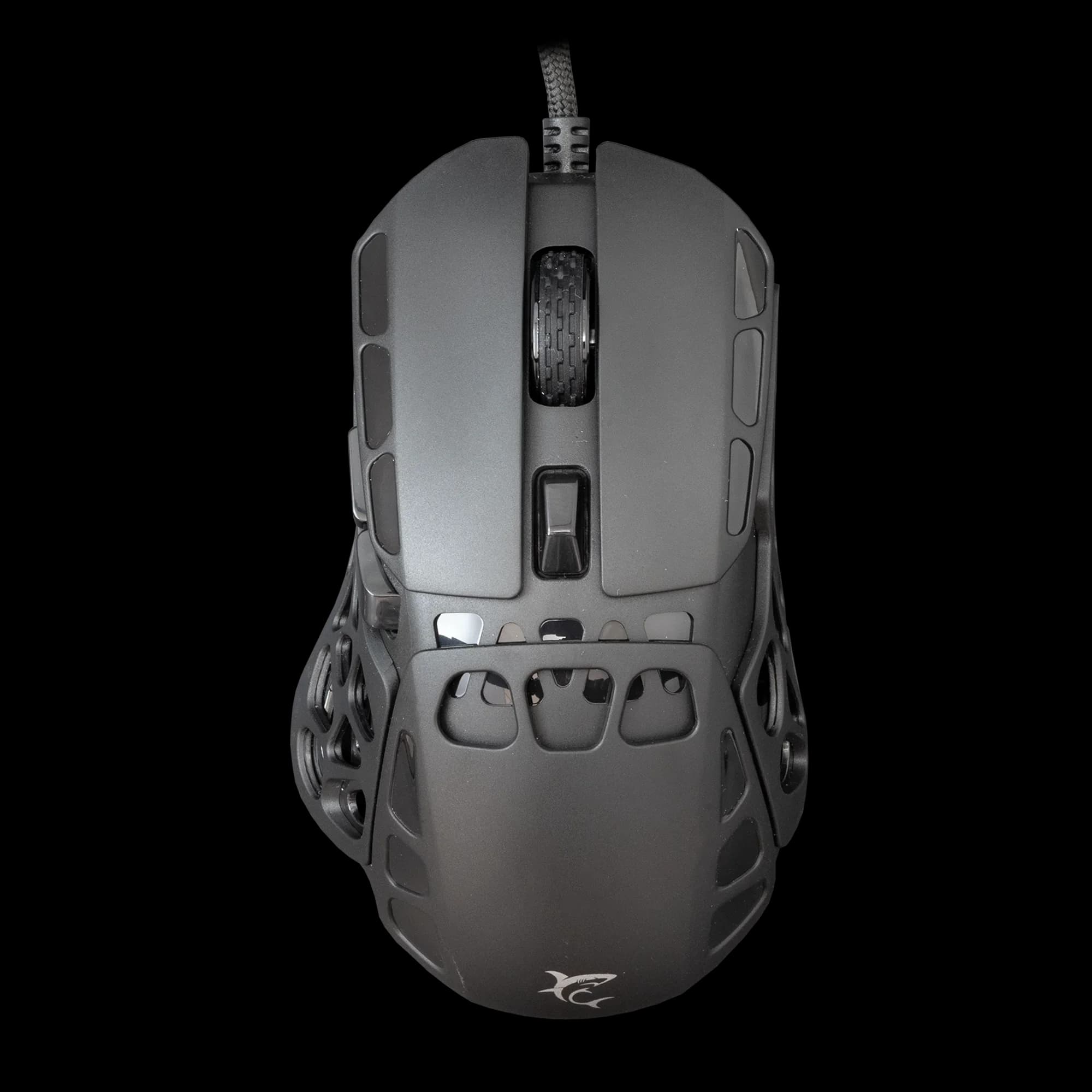 WHITE SHARK ECTOR Noir | 12400 DPI | Précision