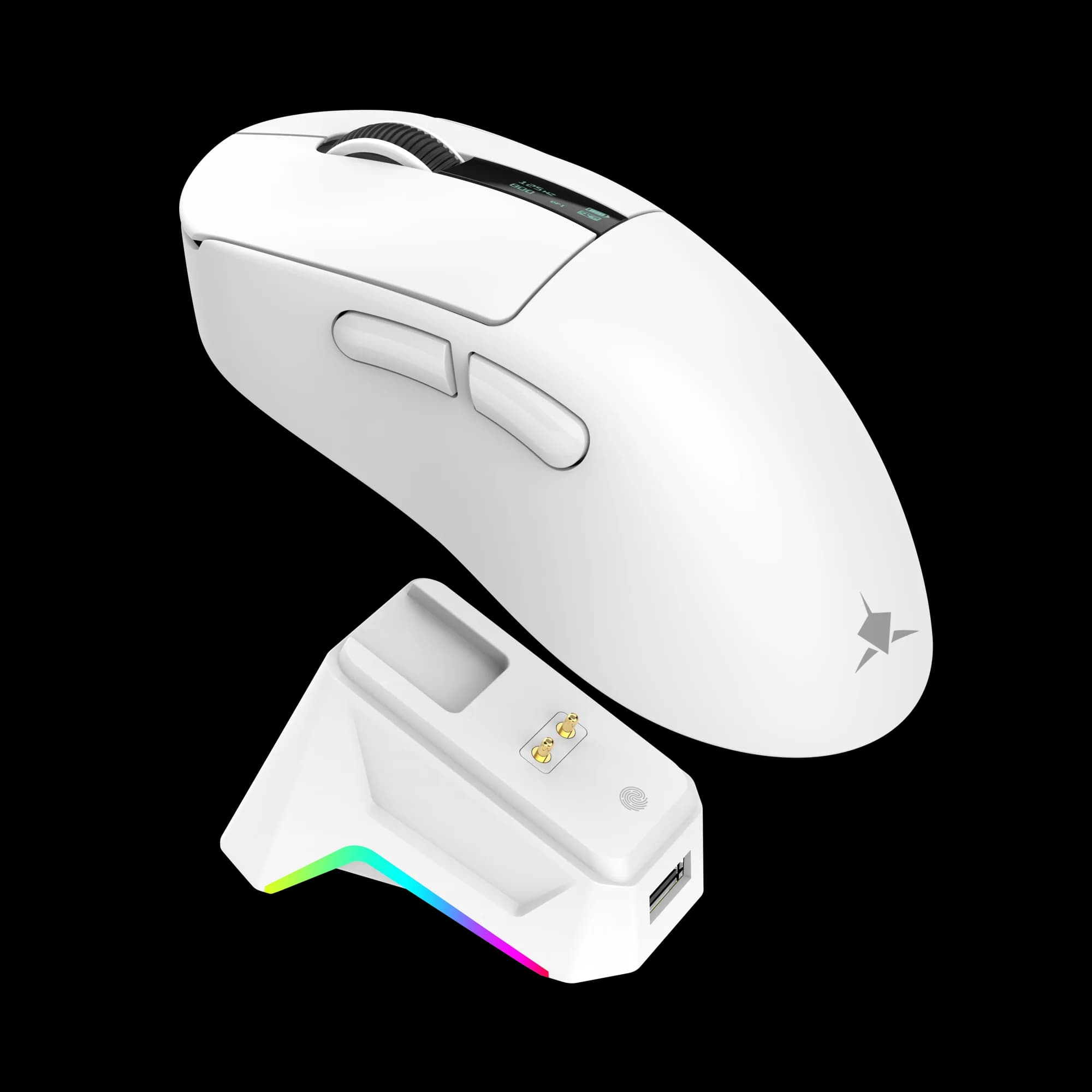 WHITE SHARK GAWAIN Blanc | Sans-fil | 10000 DPI | RGB | Tunisie