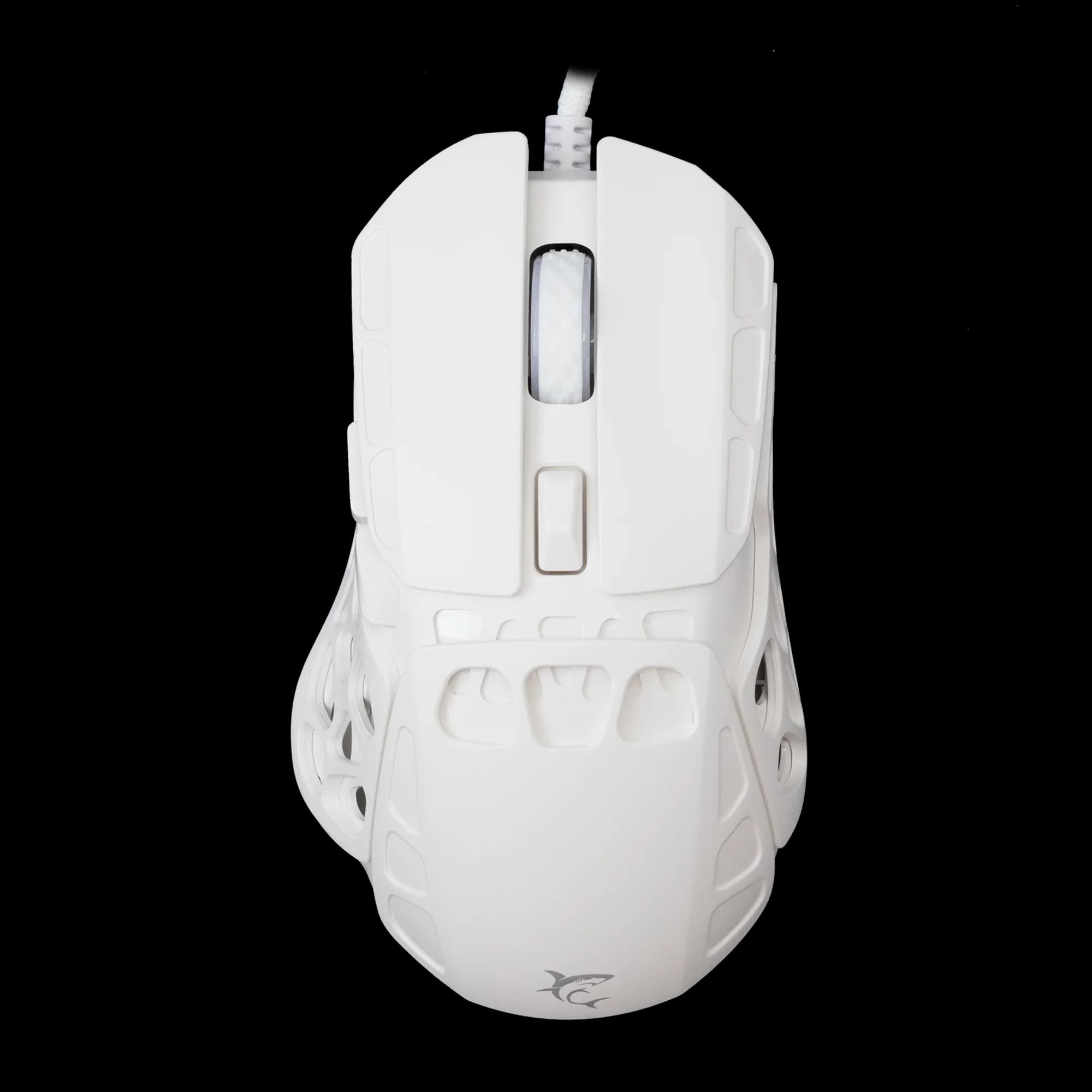 WHITE SHARK ECTOR Blanc | Filaire | 4800 DPI | Performance