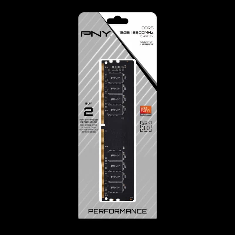 PNY 16Go DDR5 5600MHz | Performance
